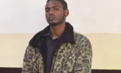 Multimedia University