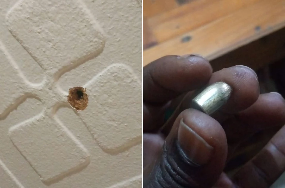 STRAY BULLET