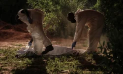 Workers carry a body bag to the mortuary after exhuming bodies at the mass-grave site in Shakahola, Kilifi County on April 25, 2023.