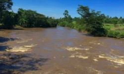 River Nzoia. Photo/Courtesy