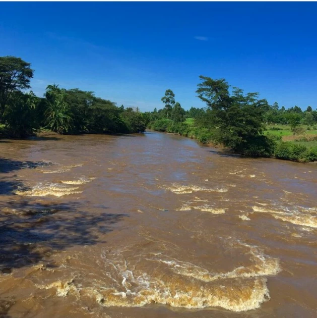 River Nzoia. Photo/Courtesy